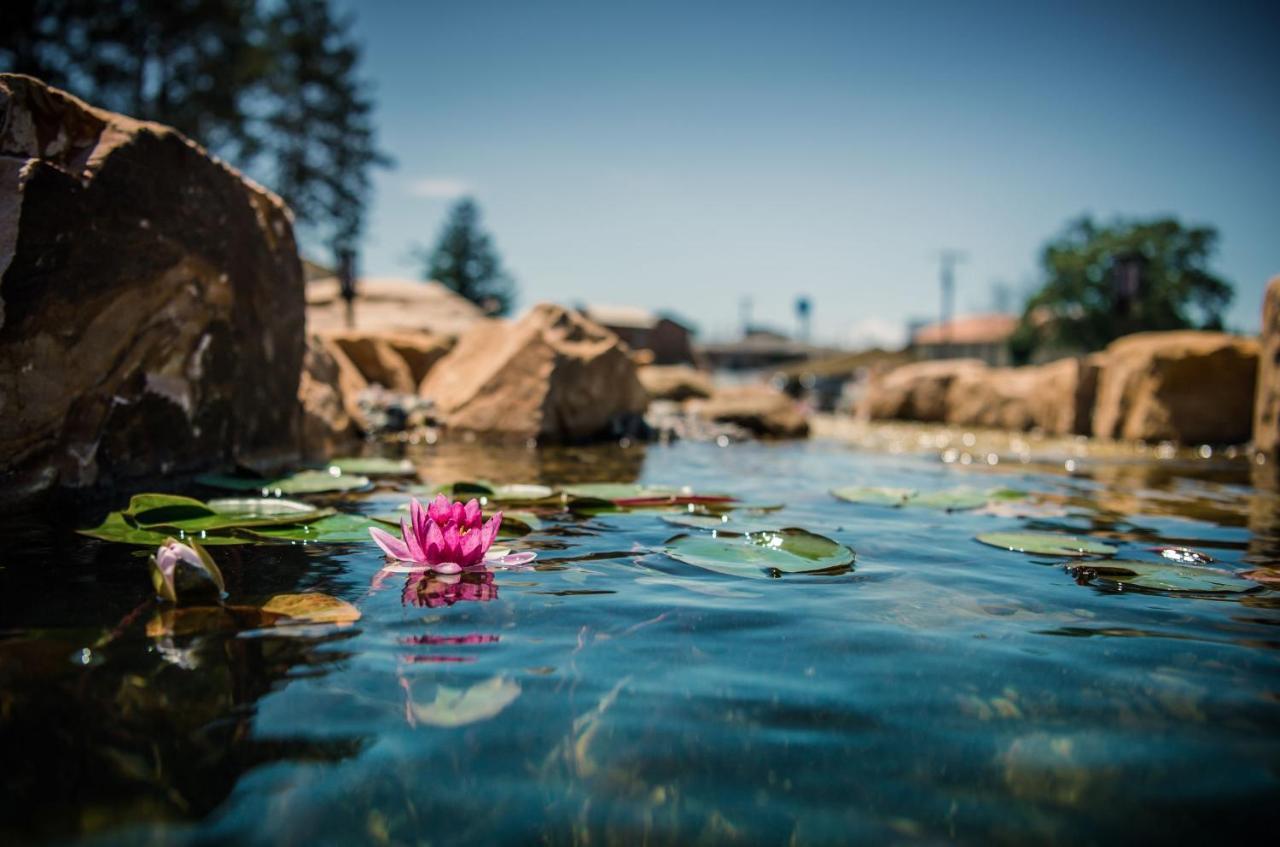 Natura Treescape Resort Wisconsin Dells Buitenkant foto